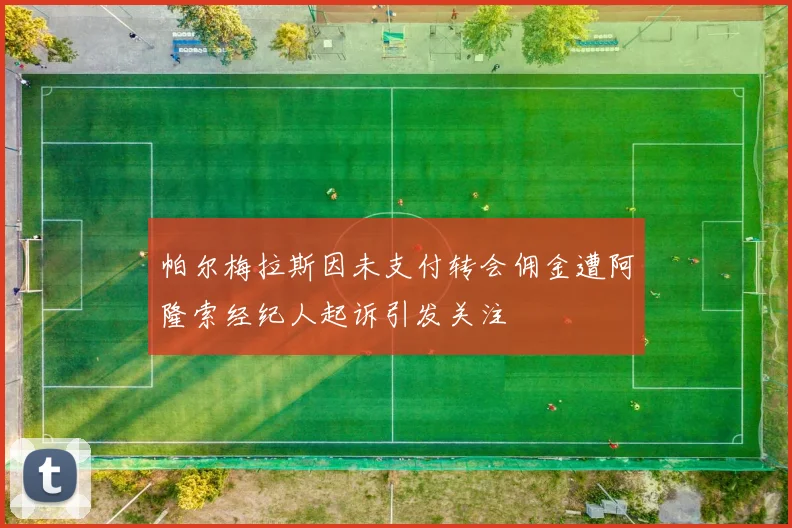帕尔梅拉斯因未支付转会佣金遭阿隆索经纪人起诉引发关注